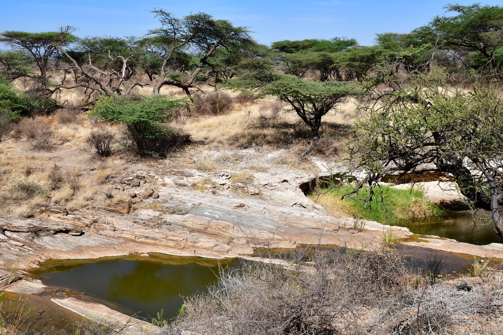 Buffalo Springs Nat. Reserve